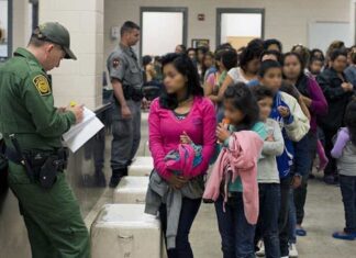 CBP One: Este es el tiempo que da el gobierno para pedir asilo luego de entrar al país