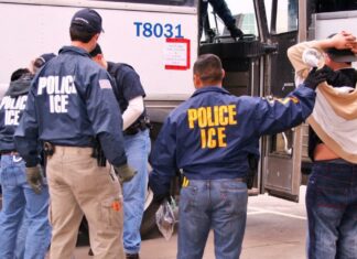 EEUU | ICE podría liberar a inmigrantes: ¿Quiénes son elegibles?