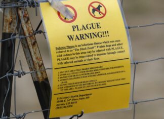 Confirman caso de peste bubónica en Oregón (+Detalles)