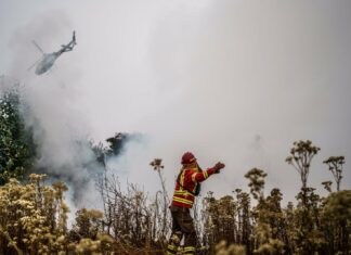 Chile| Decreta dos días de duelo nacional tras los incendios