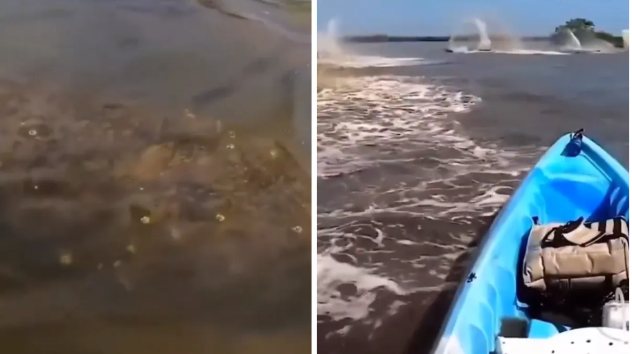 ¡De terror! Hombre encontró una extraña criatura en el río Amazonas y esto sucedió (+Video)