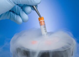 Legisladores de Alabama buscan solución a la polémica sobre embriones congelados