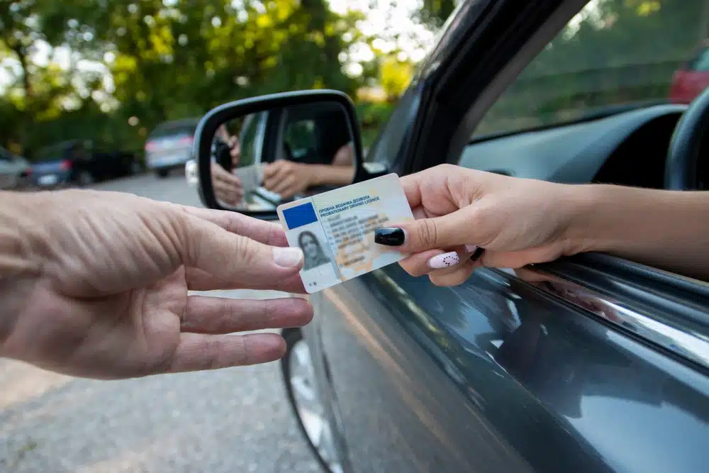 Licencias de conducir servirán como identificación