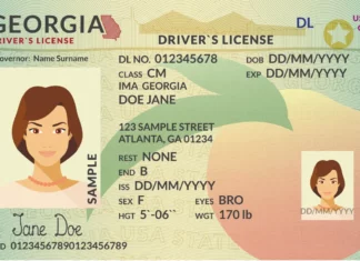 Así puedes sacar tu licencia de conducir en Georgia (+Requisitos)
