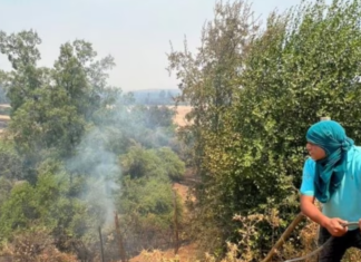 Venezolanos en Chile ayudan a combatir incendios forestales