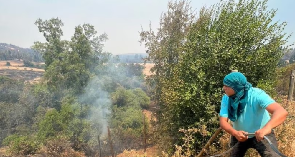Venezolanos en Chile ayudan a combatir incendios forestales