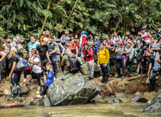 Médicos Sin Fronteras suspende atención en la selva del Darién