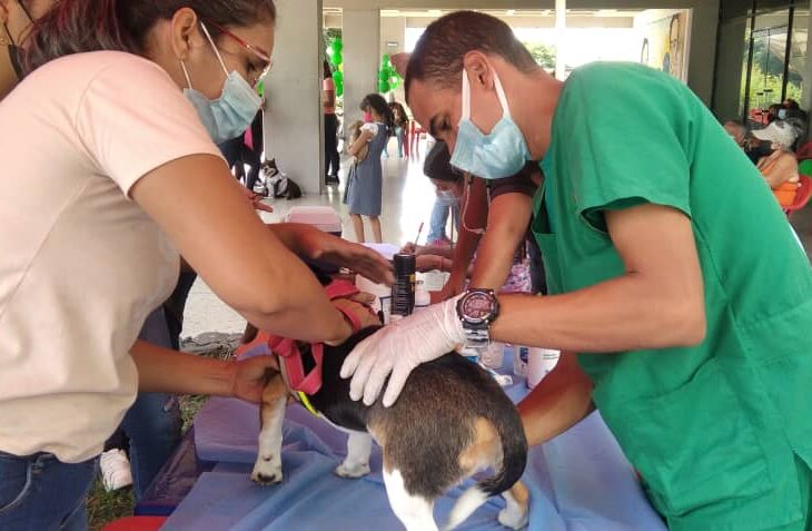 ATENCIÓN: Nueva jornada de vacunación y adopción de mascotas en Caracas