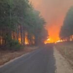 Esto es lo que se sabe sobre el incendio en el bosque de pinos de Uverito