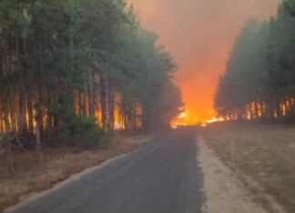 Esto es lo que se sabe sobre el incendio en el bosque de pinos de Uverito