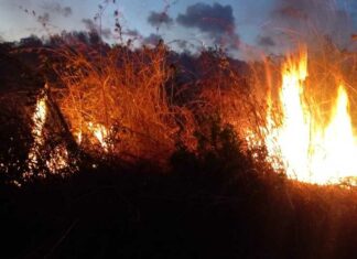 Último Minuto: Reportan incendio forestal en Los Teques (+Video)