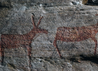 Alarma en Noruega: Un tesoro del arte prehistórico está en alto riesgo