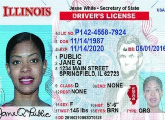 Illinois | Indocumentados podrán obtener licencia de conducir (+Requisitos)