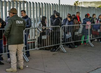 ¿Por qué las citas de CBP One presentan retrasos?: Esto se sabe
