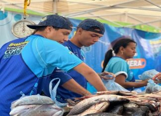 Conozca los puntos de venta de pescado en Caracas