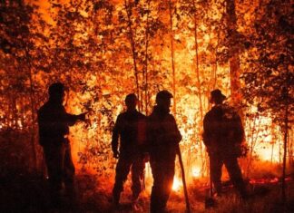 Continua gran incendio forestal en Parque Nacional Macarao (+Detalles)