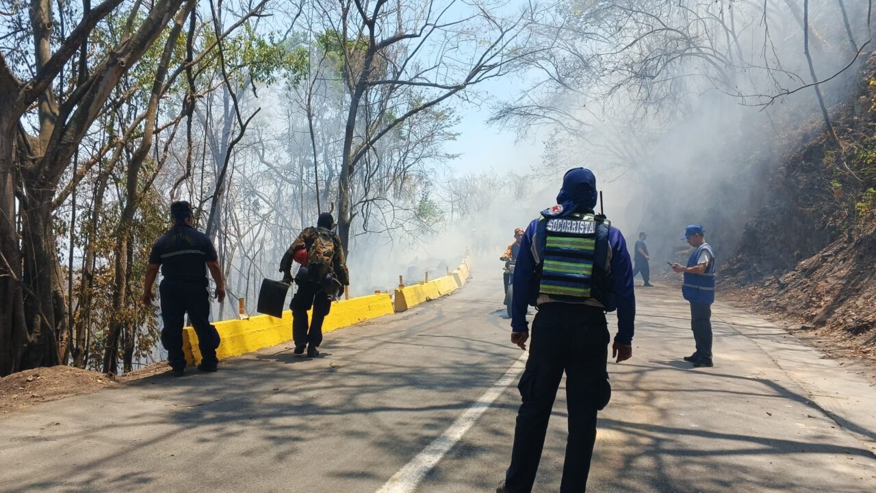 Incendios en el Henri Pittier: ¿Está abierto el paso para las costas de Aragua?