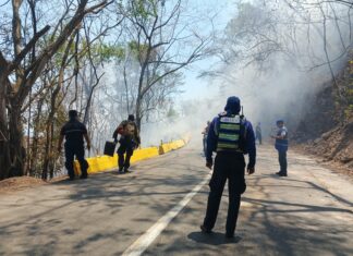 Incendios en el Henri Pittier: ¿Está abierto el paso  para las costas de Aragua?