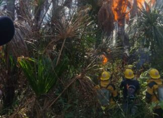 Envían refuerzos al Parque Nacional Canaima para sofocar incendio
