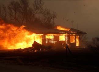 Revelan causa del mayor incendio forestal de la historia en Texas (+Balance)