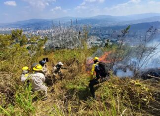 Piden a visitantes acatar las siguientes normas para evitar incendios en parques nacionales