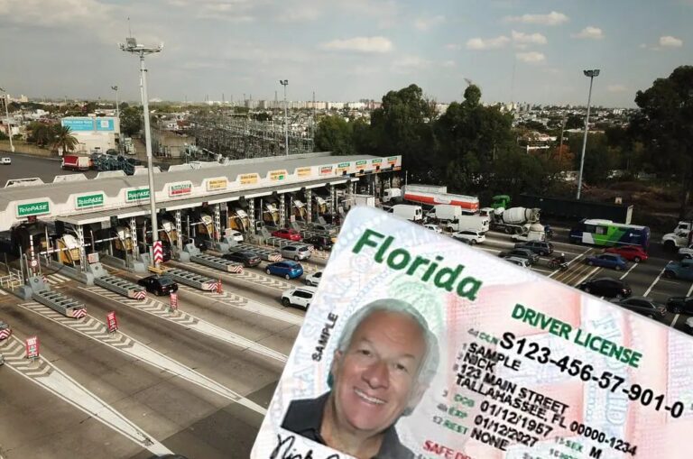 Licencia de conducir: Requisitos en Florida para indocumentados