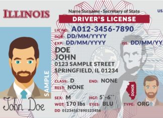 Así será la nueva licencia para indocumentados en Illinois (+Detalles)