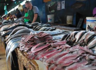 Conozca dónde comprar pescado fresco y barato en Caracas desde este #22Mar