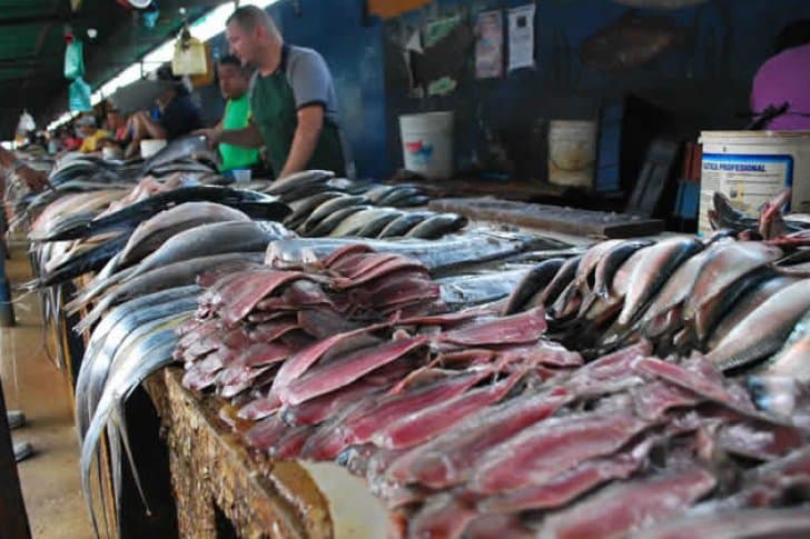 Conozca dónde comprar pescado fresco y barato en Caracas desde este #22Mar
