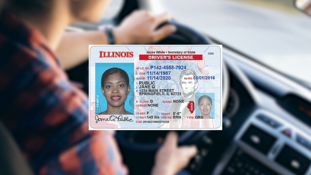 ¿Cómo solicitar la licencia de conducir estándar para indocumentados en Illinois? (+Detalles)