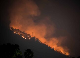 Reportan incendio forestal en el Ávila este #10Abr (+Video)