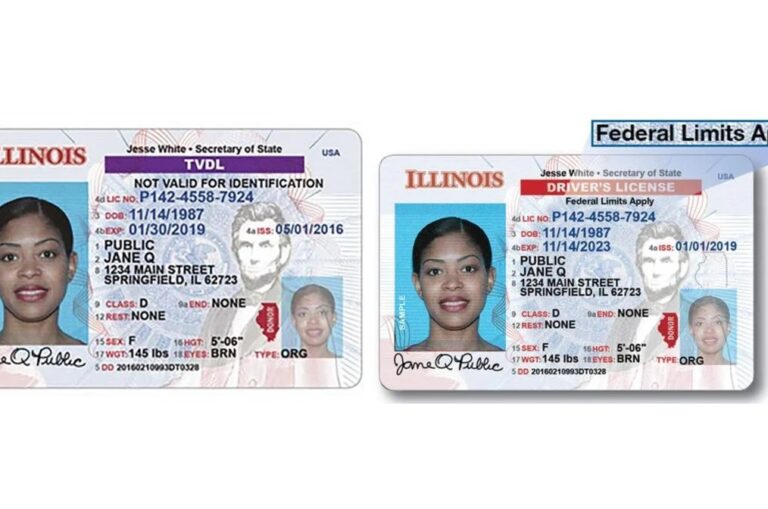 EEUU | TVDL vs Estándar: ¿Cuál es la mejor licencia de conducir para indocumentados en Illinois?