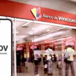 ¿Cómo solicitar Credinómina al Banco de Venezuela?