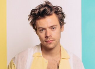 El británico Harry Styles era acosado por una brasileña (+Detalles)