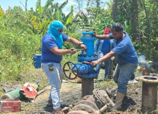 Hidrocentro: Culminó la parada programada del servicio de agua en la Gran Valencia