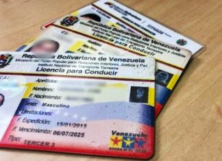 INTT | ¿Cómo renovar la licencia de conducir en todos sus grados?