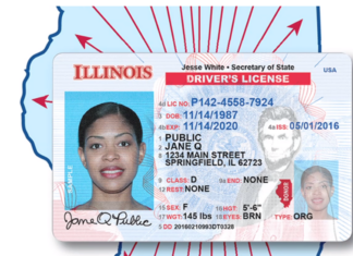 Sepa desde qué fecha podrán solicitar los indocumentados la licencia estándar en Illinois