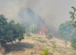 Reportan incendio forestal en sector de El Hatillo (+Imágenes)