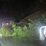 Lluvias dejan árboles caídos en la Autopista Regional del Centro