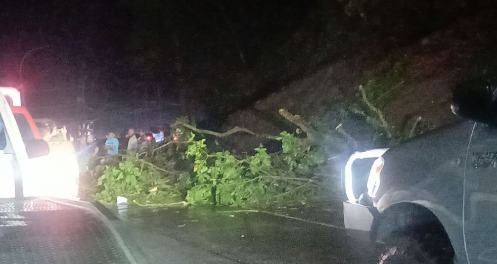Lluvias dejan árboles caídos en la Autopista Regional del Centro