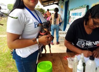Misión Nevado ofrece atención veterinaria este sábado #27Oct en Caracas, Miranda y Aragua
