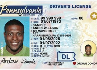 Real ID Pensilvania: ¿Qué necesita un inmigrante para solicitarla?