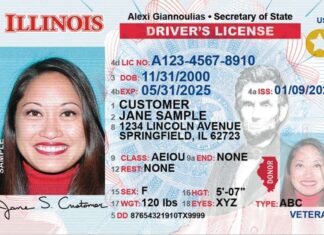 Real ID en Illinois: El truco para tramitar el documento sin cita