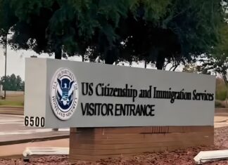 USCIS otorga permiso de trabajo a ciertos grupos de inmigrantes: (+Quiénes aplican)