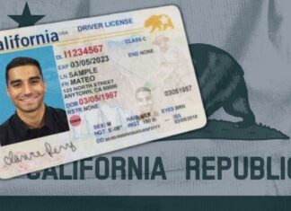 EEUU | ¿Cómo recuperar una licencia de conducir suspendida en California? (+Requisitos)