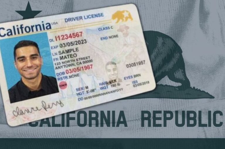EEUU | ¿Cómo recuperar una licencia de conducir suspendida en California? (+Requisitos)