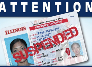EEUU | ¿Qué se debe hacer para renovar una licencia de conducir suspendida o revocada en Illinois? (+Pasos)