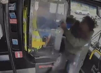 EEUU| Detienen a pasajero tras golpear al conductor y chocar el bus contra un edificio