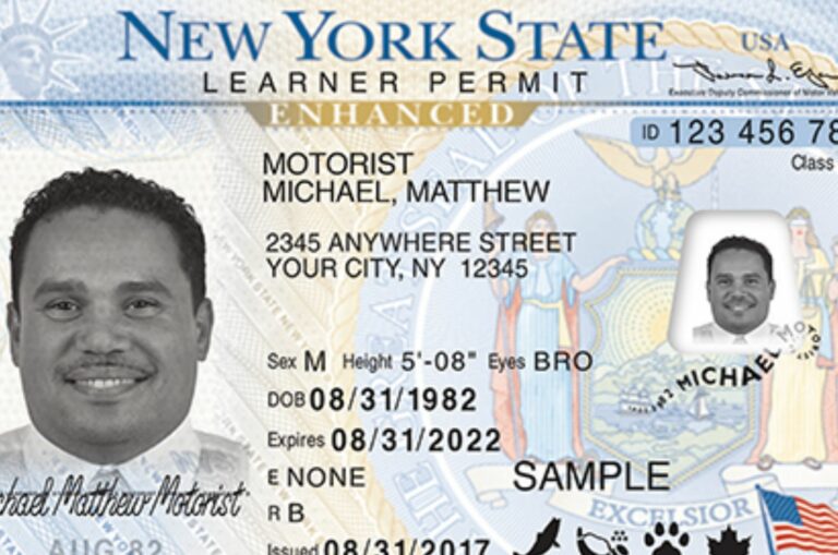 Nueva York | Así pueden obtener la licencia de conducir los migrantes indocumentados