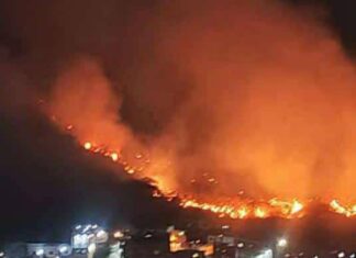 Incendios forestales en El Ávila afectan distintas zonas de Caracas la noche de este #8Abr (+VIDEOS)